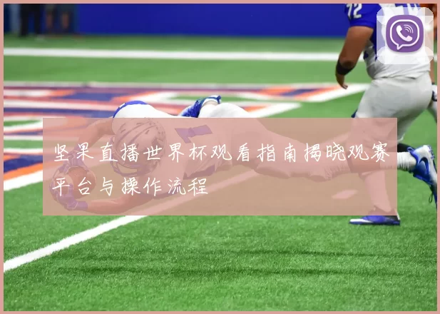坚果直播世界杯观看指南揭晓观赛平台与操作流程