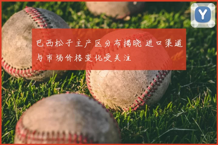巴西松子主产区分布揭晓 进口渠道与市场价格变化受关注