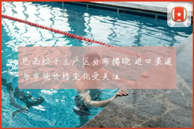 巴西松子主产区分布揭晓 进口渠道与市场价格变化受关注