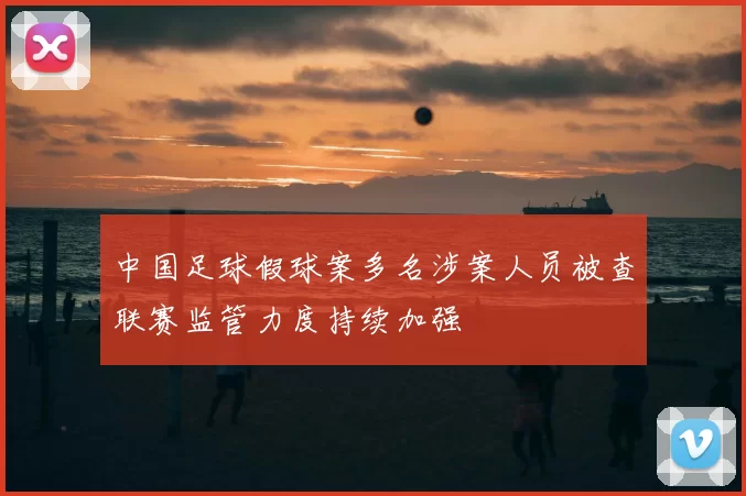 中国足球假球案多名涉案人员被查联赛监管力度持续加强
