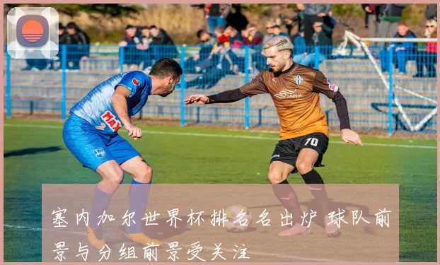 塞内加尔世界杯排名名出炉 球队前景与分组前景受关注